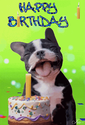 Happy Birthday Joyeux Anniversaire GIF