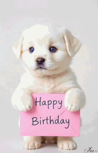 Happy Birthday Joyeux Anniversaire GIF