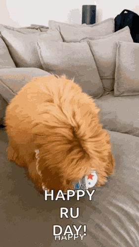 Happy Birthday GIF