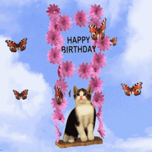 Happy Birthday Kitten Butterflies GIF