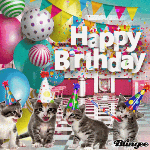 Happy Birthday Kitten Kittens GIF