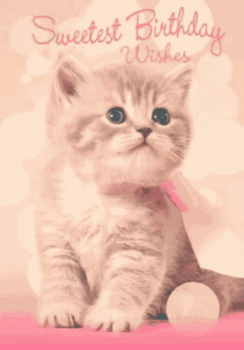 Happy Birthday Kitten GIF