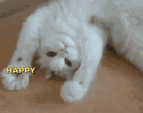 Happy Birthday Kitten Waving GIF