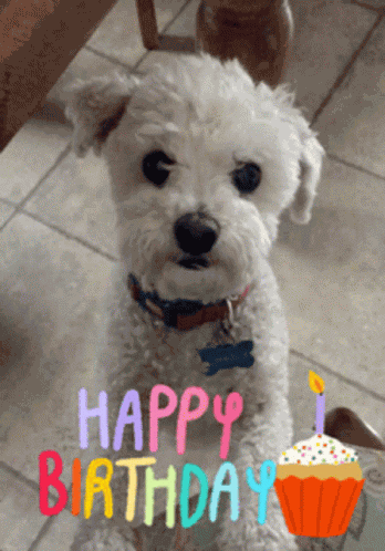 Happy Birthday GIF
