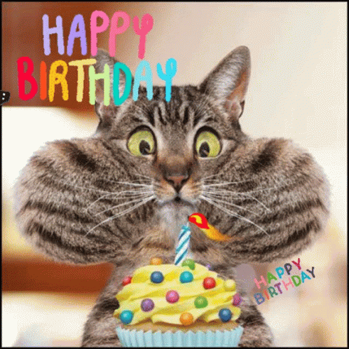 Happy Birthday GIF