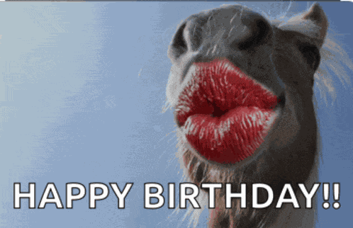 Happy Birthday Meme