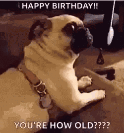Happy Birthday GIF