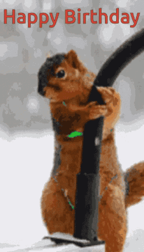 Happy Birthday GIF