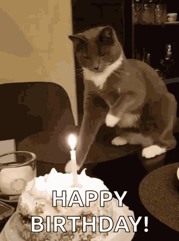 Happy Birthday GIF