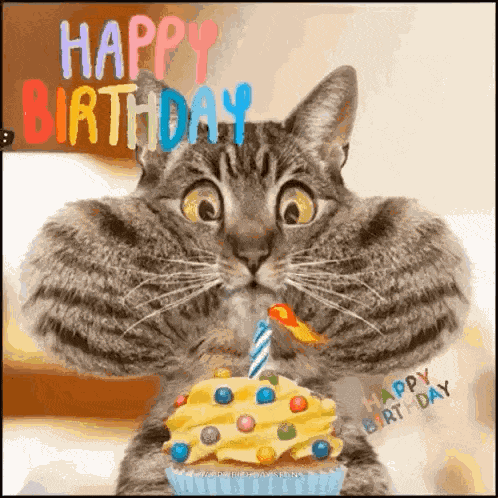 Happy Birthday GIF