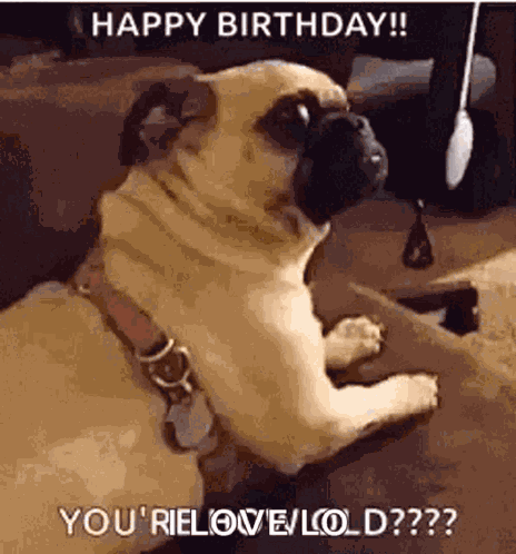 Happy Birthday GIF