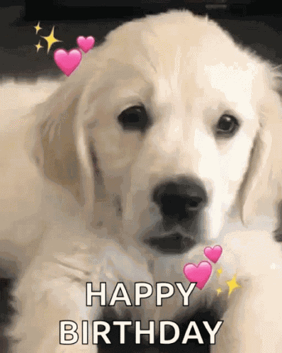 Happy Birthday Puppy GIF
