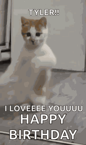 Happy Birthday Sister Happy Birthday GIF