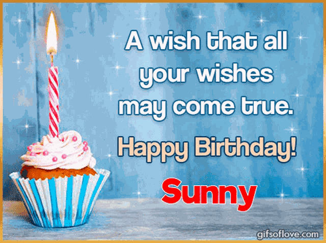 Happy Birthday Sunny GIF