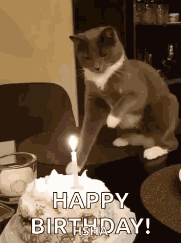 Happy Birthday GIF