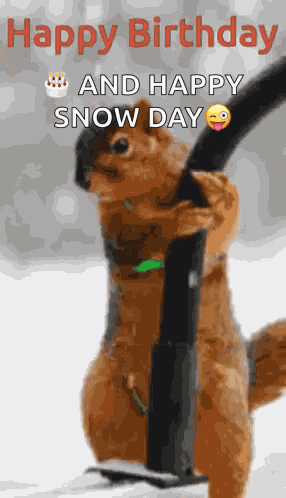 Happy Birthday GIF
