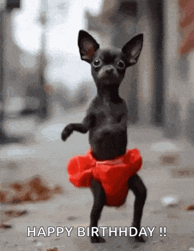 Happy Birthday GIF