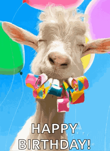 Happy Birthday GIF