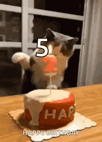 Happy Birthday GIF