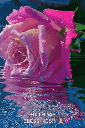 Happy Birthday Wishes Happy Birthday Wishes 2023 GIF