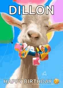 Happy Birthday Wishes Happy Birthday Wishes 2024 GIF