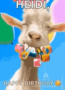Happy Birthday Wishes Happy Birthday Wishes 2024 GIF