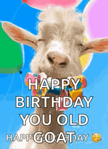 Happy Birthday Wishes Happy Birthday Wishes 2024 GIF