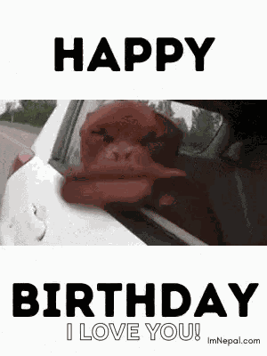 Happy Birthday Wishes Happy Birthday Wishes 2025 GIF