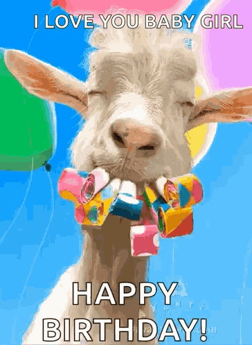 Happy Birthday Wishes Happy Birthday Wishes 2025 GIF