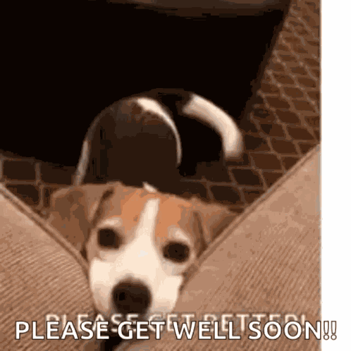 Happy Birthday Wishes GIF