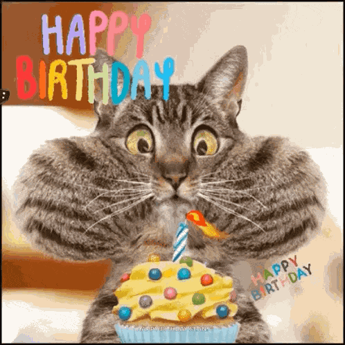 Happy Birthday GIF