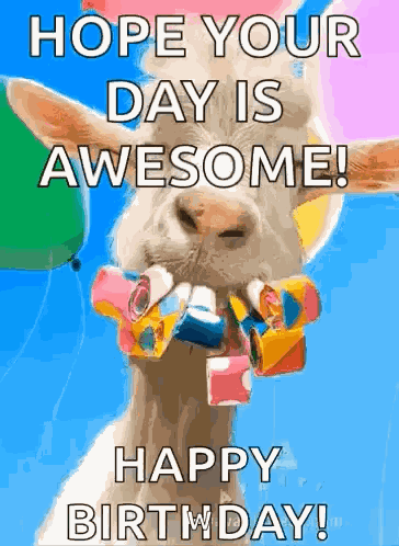 Happy Birthday GIF