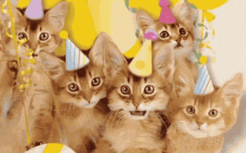 Happy Birthday GIF