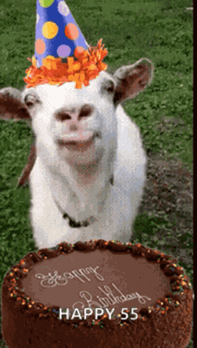 Happy Birthday GIF