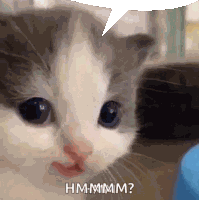 Happy Cat Chat Bubble Sticker