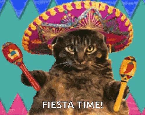 Happy Cinco De Mayo Cat GIF