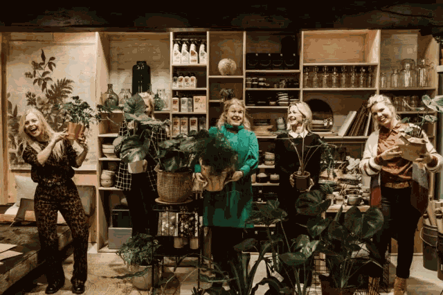 Happy Dance Plant GIF