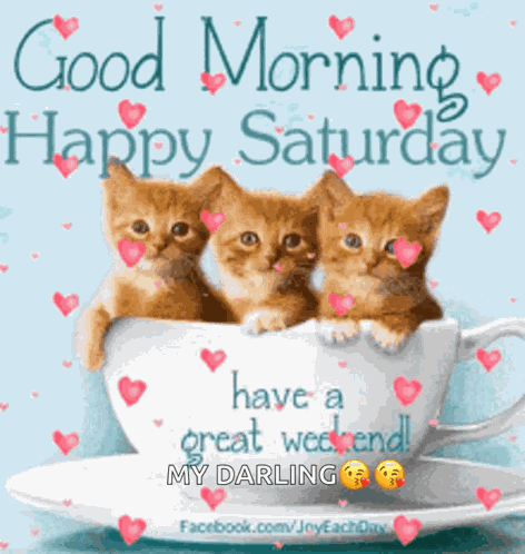 Happy Day GIF