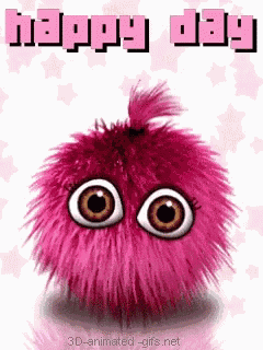 Happy Day Wednesday GIF