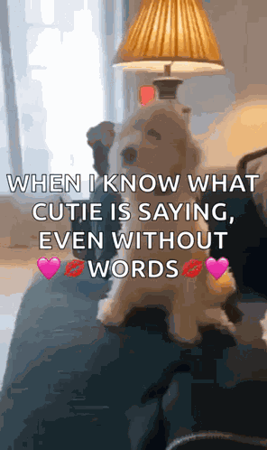 Happy Dog Good Boy GIF