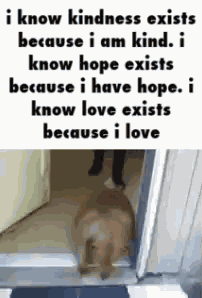 Happy Dog GIF