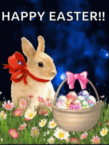 Happy Easter Easter Bunny GIF