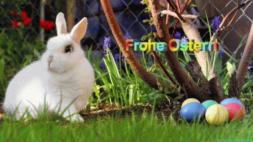 Happy Easter Holy Easter GIF