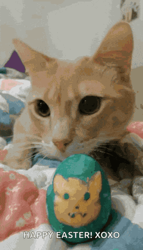 Happy Easter Images2022 Cute Cat GIF