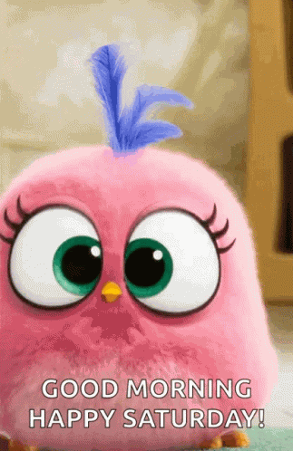 Happy Excited GIF