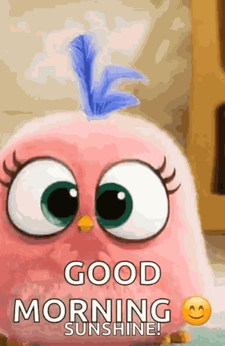 Happy Excited GIF