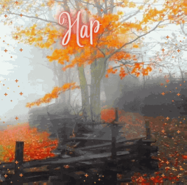 Happy Fall First Day Of Fall GIF