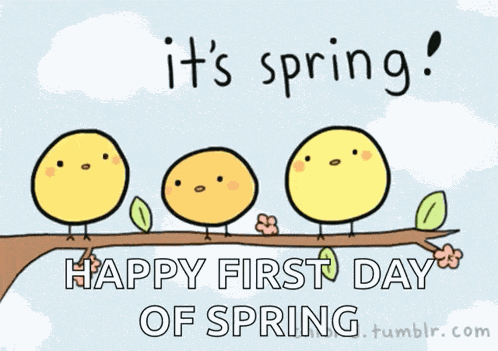 Happy First Day Of Spring Birds GIF