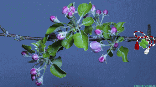 Happy First Day Of Spring Happy Spring GIF