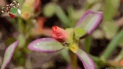 Happy First Day Of Spring Happy Spring GIF